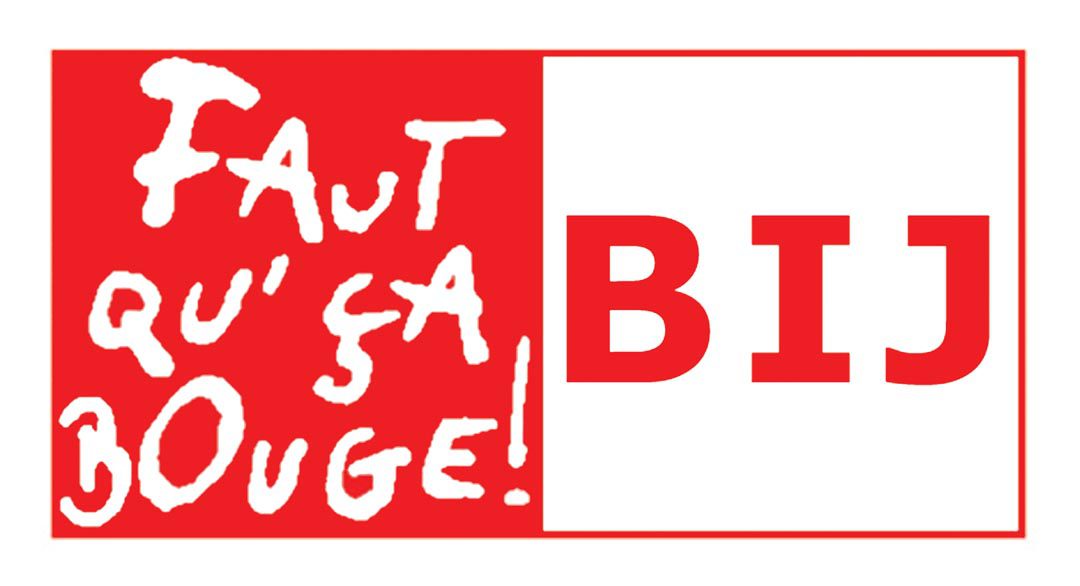 Formation et coaching de montage d’un projet d’échange de jeunes en partenariat – BIJ