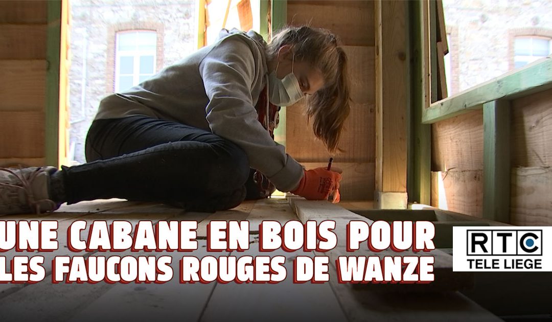 Reportage TV – Une cabane en bois pour les Faucons rouges de Wanze