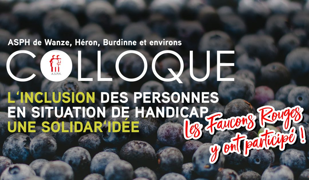 Colloque sur l’inclusion de personnes en situation de handicap